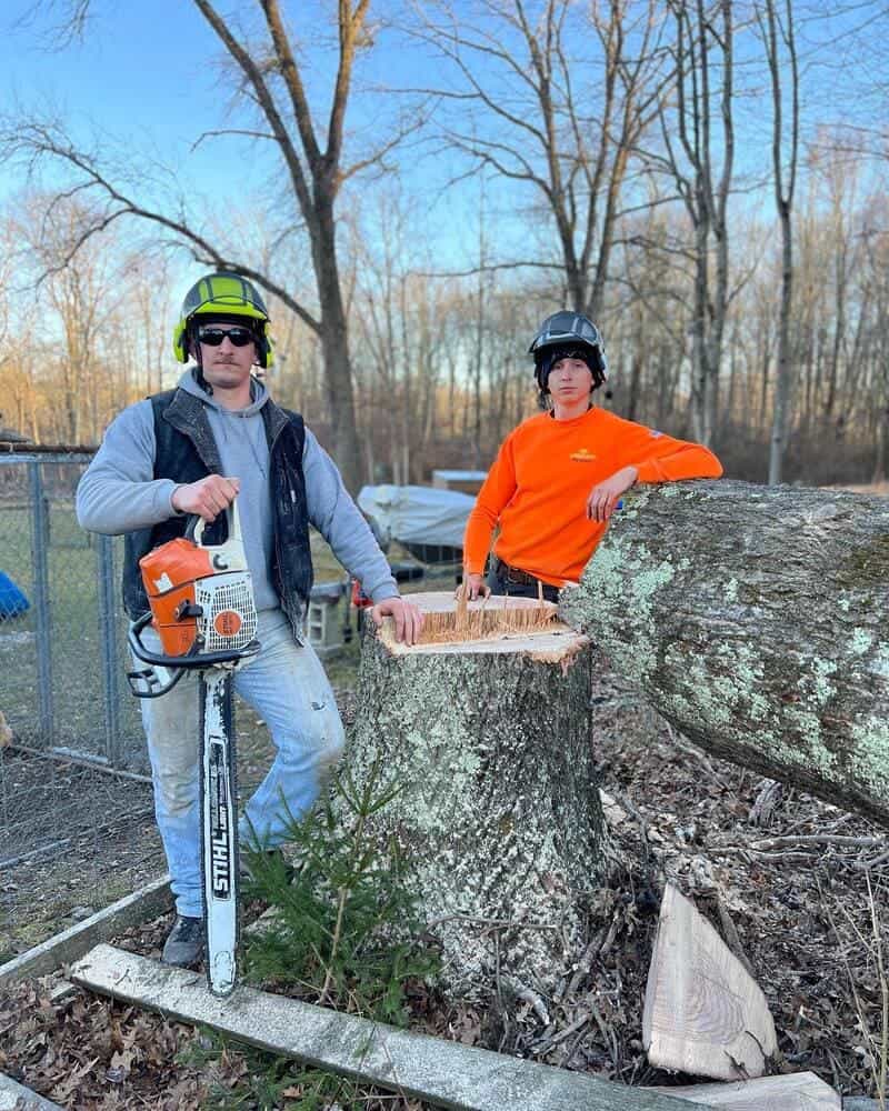 Best Tree Service in Hunterdon County, NJ