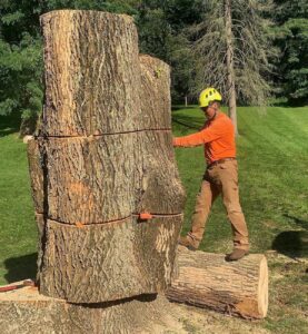 Tree-removal